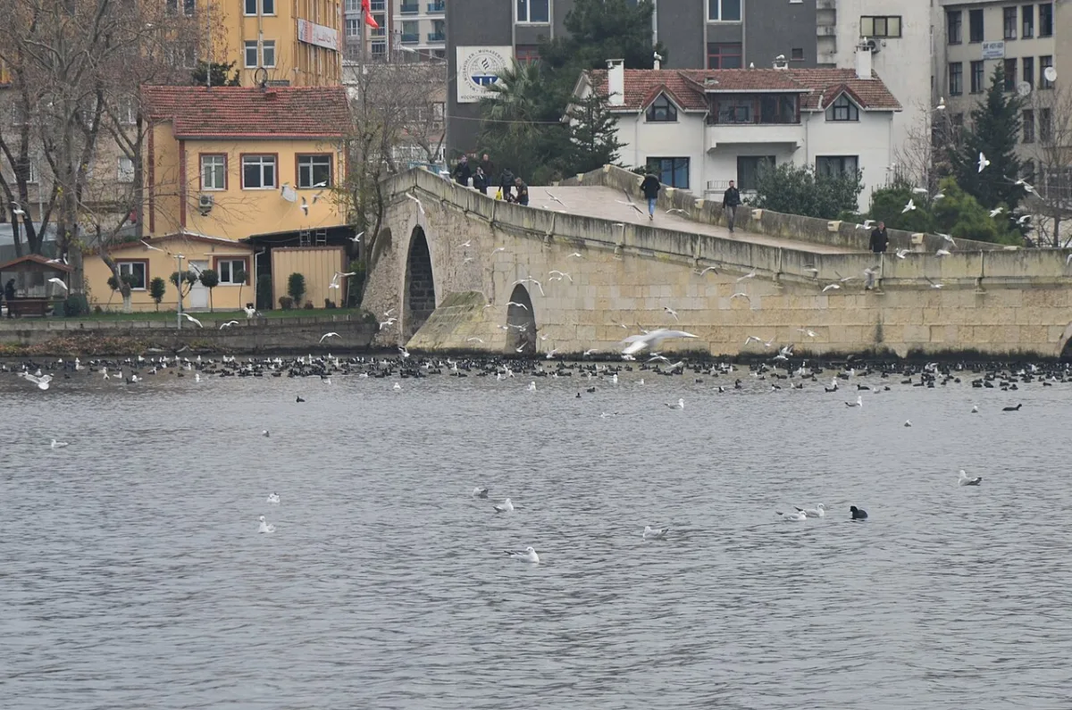 Küçükçekmece Köprüsü ve göl kıyısındaki evler